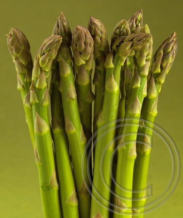 Asparagus-011